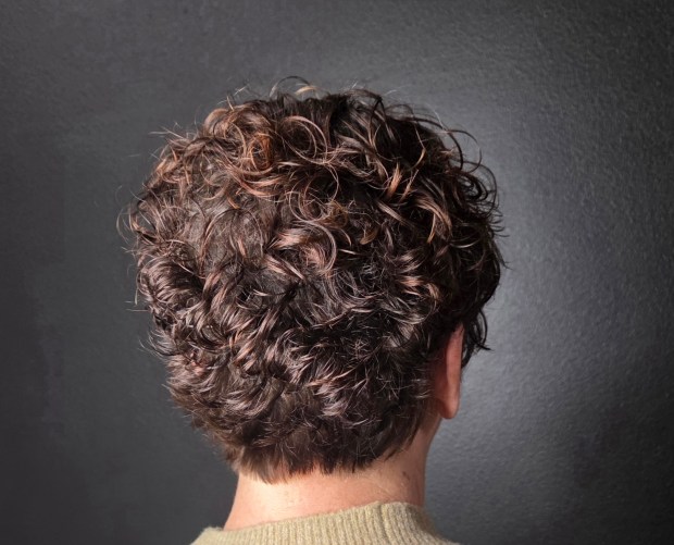Back view of a short, curly, graduated haircut with dark brown dimensional tones and a clean, tapered neckline.